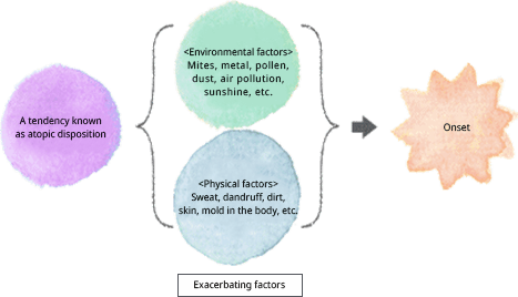 Causes of atopic dermatitis Exacerbating factors