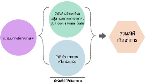 สาเหตุของโรคผื่นภูมิแพ้ผิวหนัง ปัจจัยที่ก่อให้เกิดอาการ