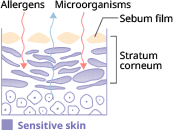 【Sensitive skin】