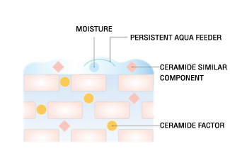 สร้างน้ำเคลือบผิว a moisture veil