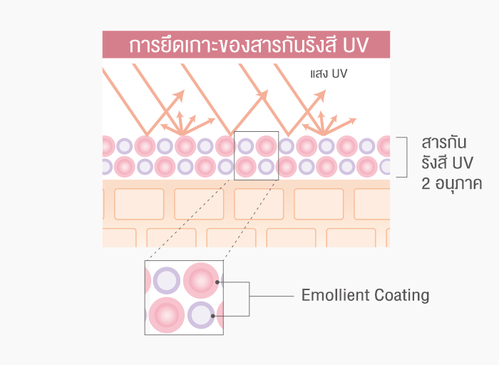 ปกป้องผิวจาก SPF 50+ ทำให้ผิวนุ่ม สบาย